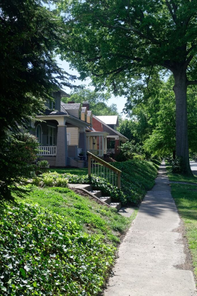A treelined neighborhood in Illinois.